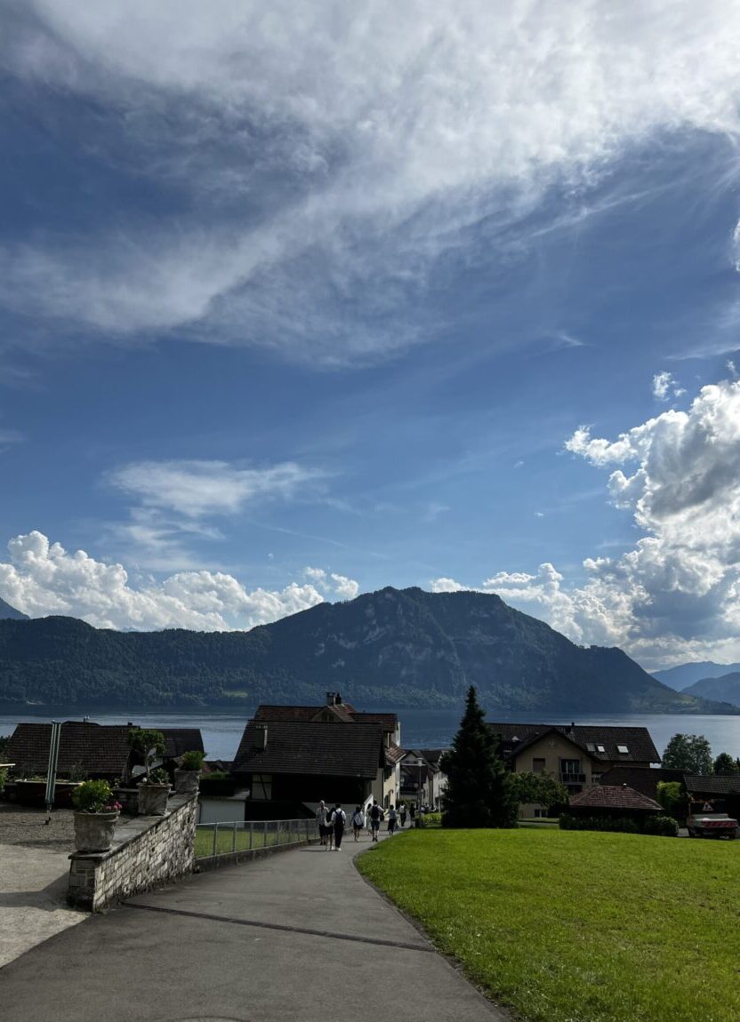 貓咪睡著了，陽光剛好